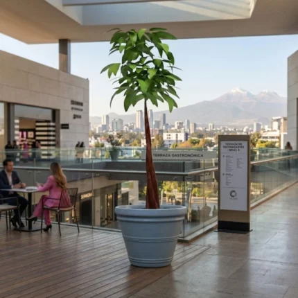 Jardineras urbanas