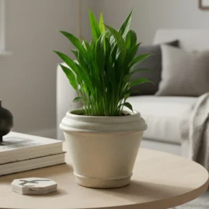 MACETA CLÁSICA ROMANA TIUM-CR39