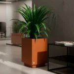 Hidromacetero cuadrado