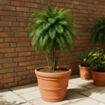 Maceta clásica cónica TIUM CC52