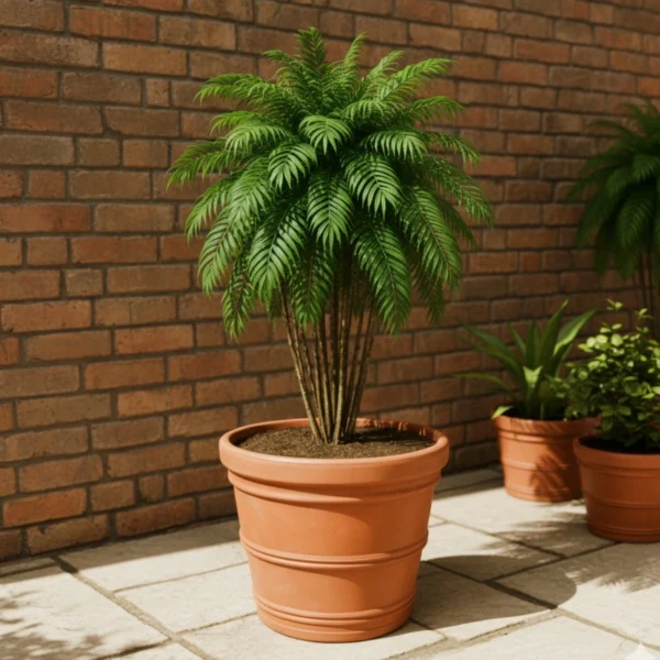 Maceta clásica cónica TIUM CC52