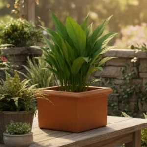 Macetas cuadradas de plástico