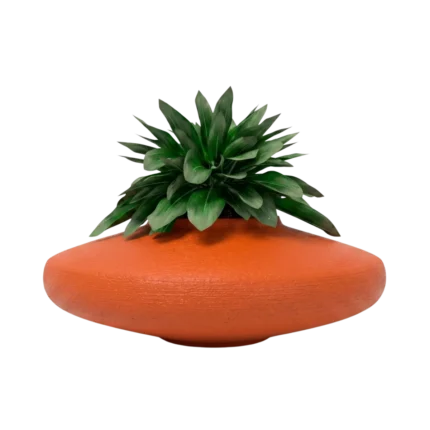 Macetas bonsai
