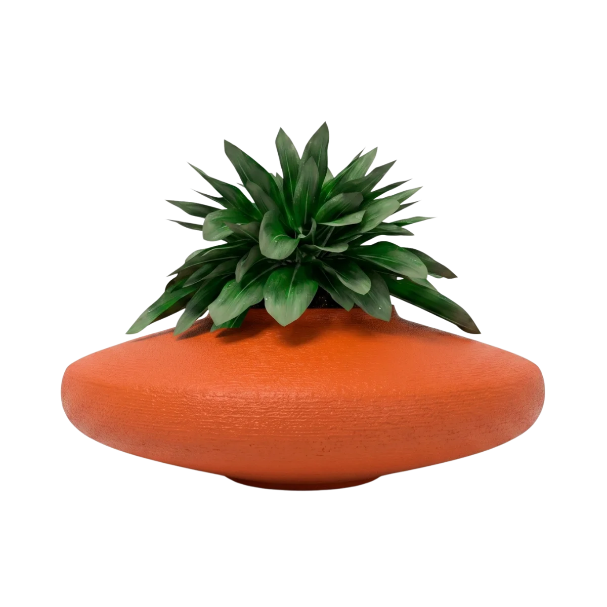 Vasija-Corta-TIUM-VC13-Sin-Fondo Macetas bonsai