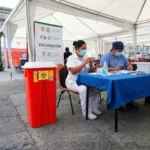 Contenedor de punzocortantes