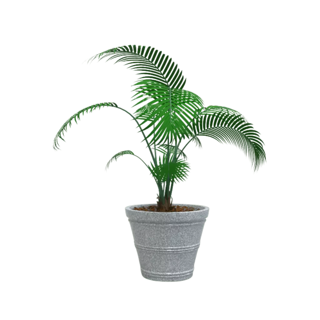 MACETA CLÁSICA CÓNICA TIUM CC43