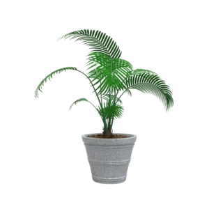 MACETA CLÁSICA CÓNICA TIUM CC43