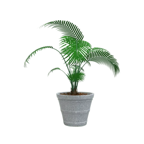 MACETA CLÁSICA CÓNICA TIUM CC43