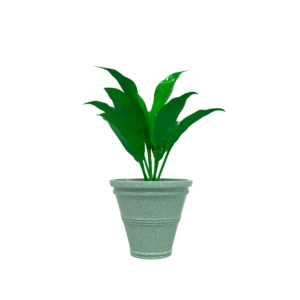 maceta clásica cónica TIUM CC50