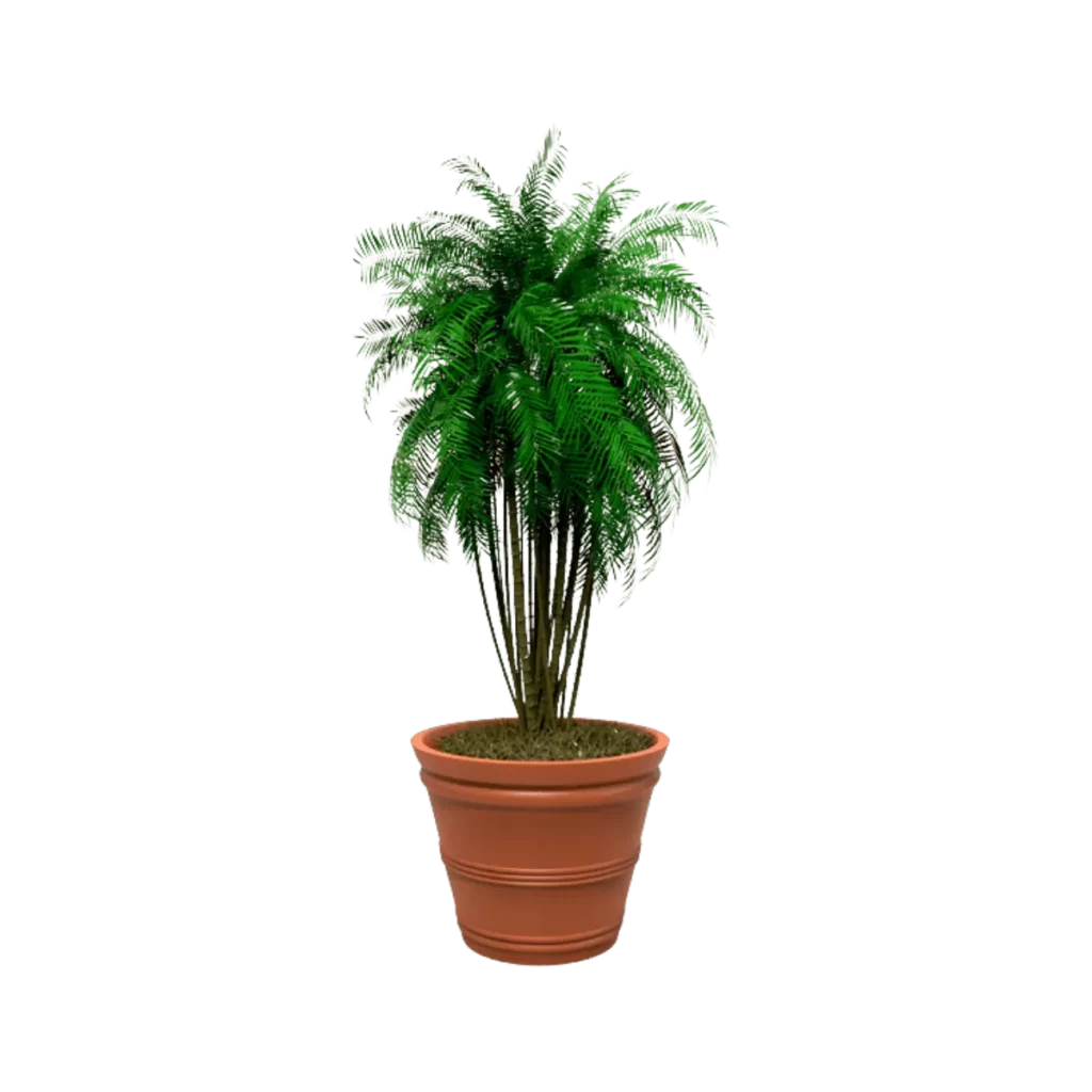 Maceta clásica cónica TIUM CS52