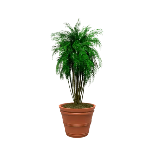 Maceta clásica cónica TIUM CS52