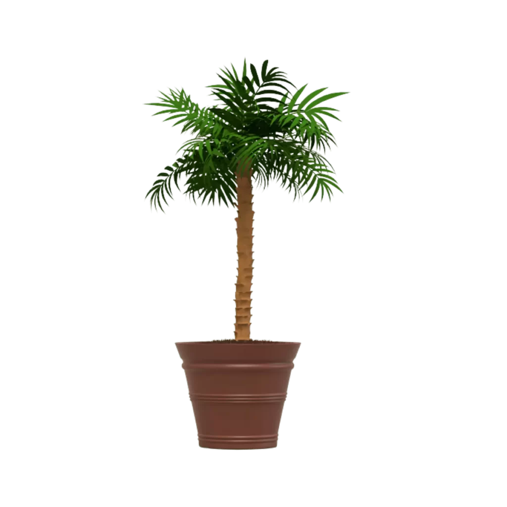 Maceta Clásica Cónica TIUM CC81