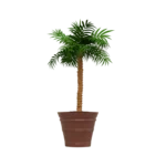 Maceta Clásica Cónica TIUM CC81