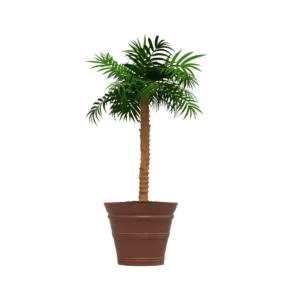 Maceta Clásica Cónica TIUM CC81