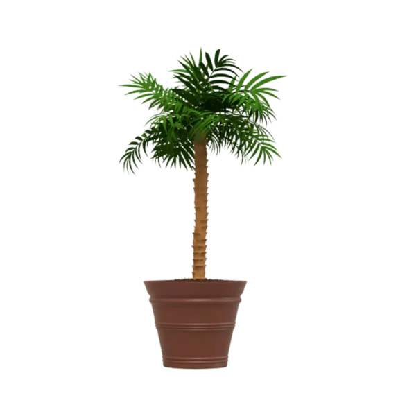 Maceta Clásica Cónica TIUM CC81