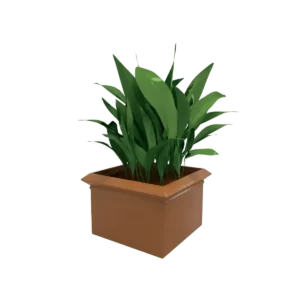 Macetas cuadradas de plástico