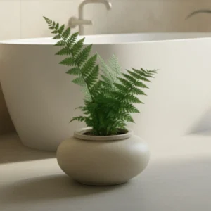 MACETA CLÁSICA DE OLLA