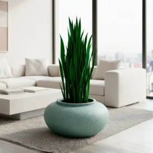 MACETA CLÁSICA DE OLLA TIUM-CO25