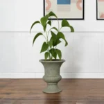 MACETA CLÁSICA DE URNA