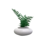 Maceta clásica de olla