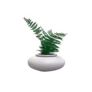 Maceta clásica de olla