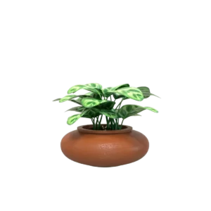 Maceta clásica de olla TIUM-CO18