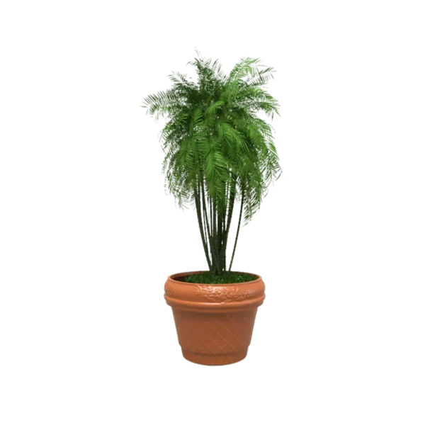 Maceta clásica Romana TIUM-CR31