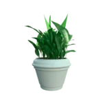 Maceta clásica Romana TIUM-CR39