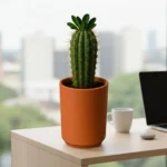 MACETA HIDROMACETERO TSSM-MR59