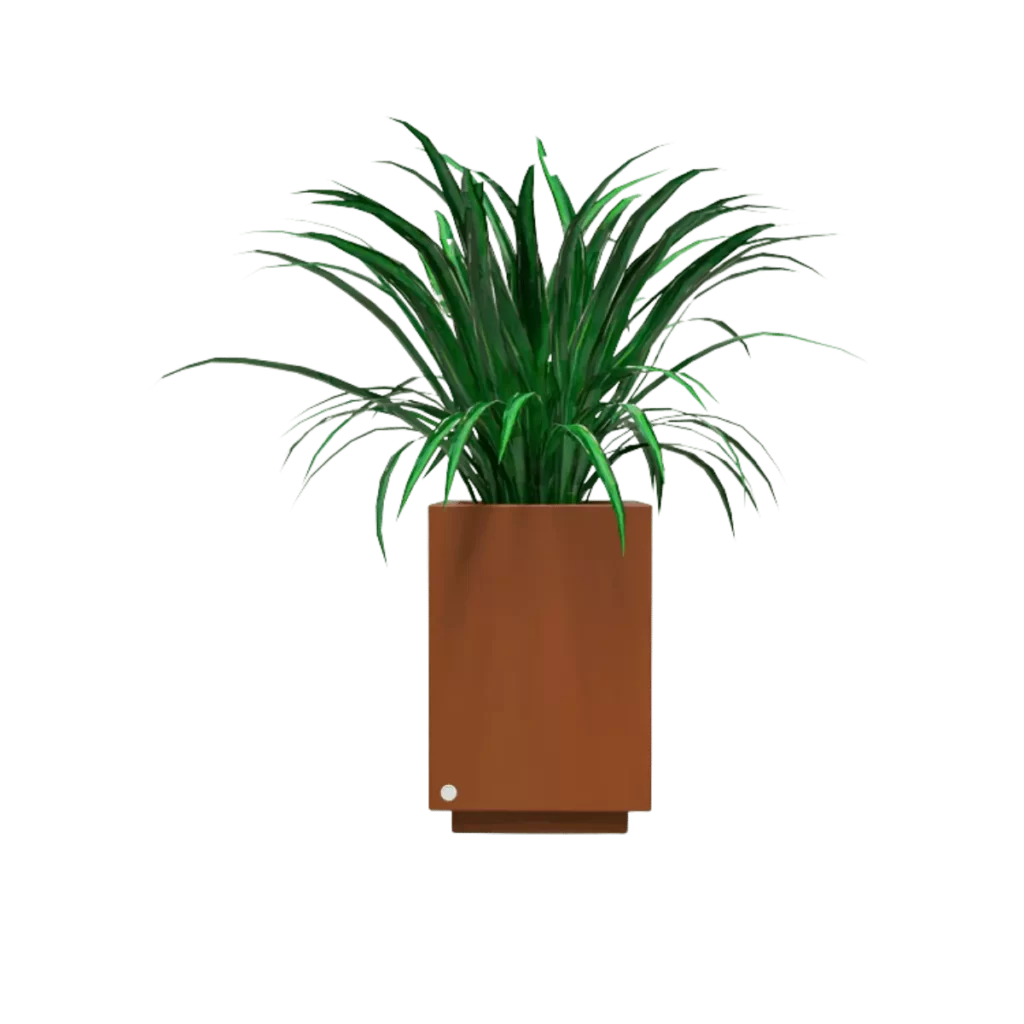 Hidromacetero cuadrado