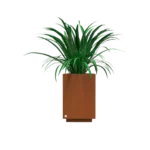 Hidromacetero cuadrado