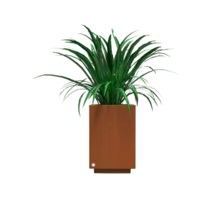 Hidromacetero cuadrado