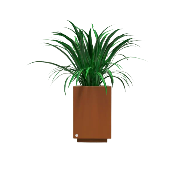 Hidromacetero cuadrado