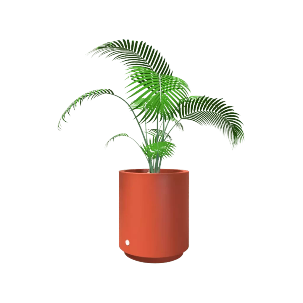 Hidromacetero redondo