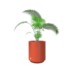 Hidromacetero redondo