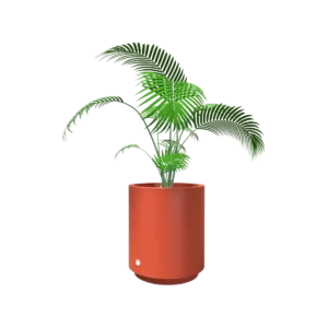 Hidromacetero redondo