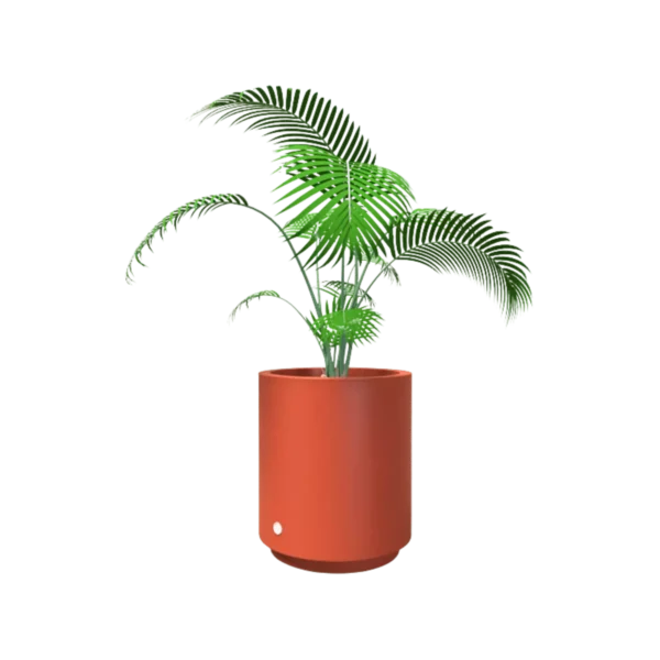 Hidromacetero redondo