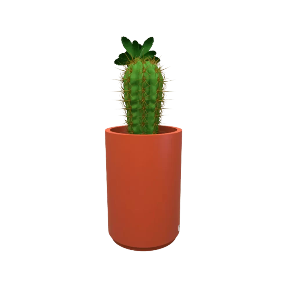 Maceta Hidromacetero TSSM-MR59