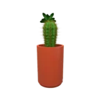 Maceta Hidromacetero TSSM-MR59