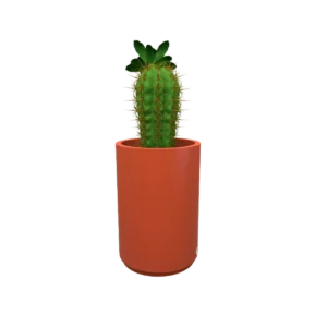 Maceta Hidromacetero TSSM-MR59