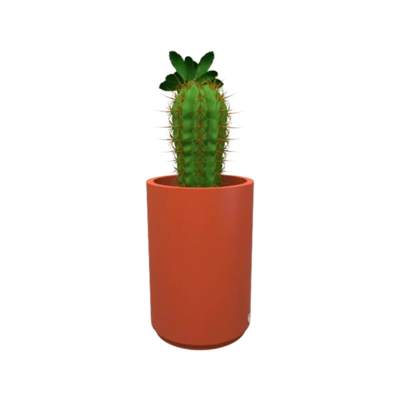 Maceta Hidromacetero TSSM-MR59