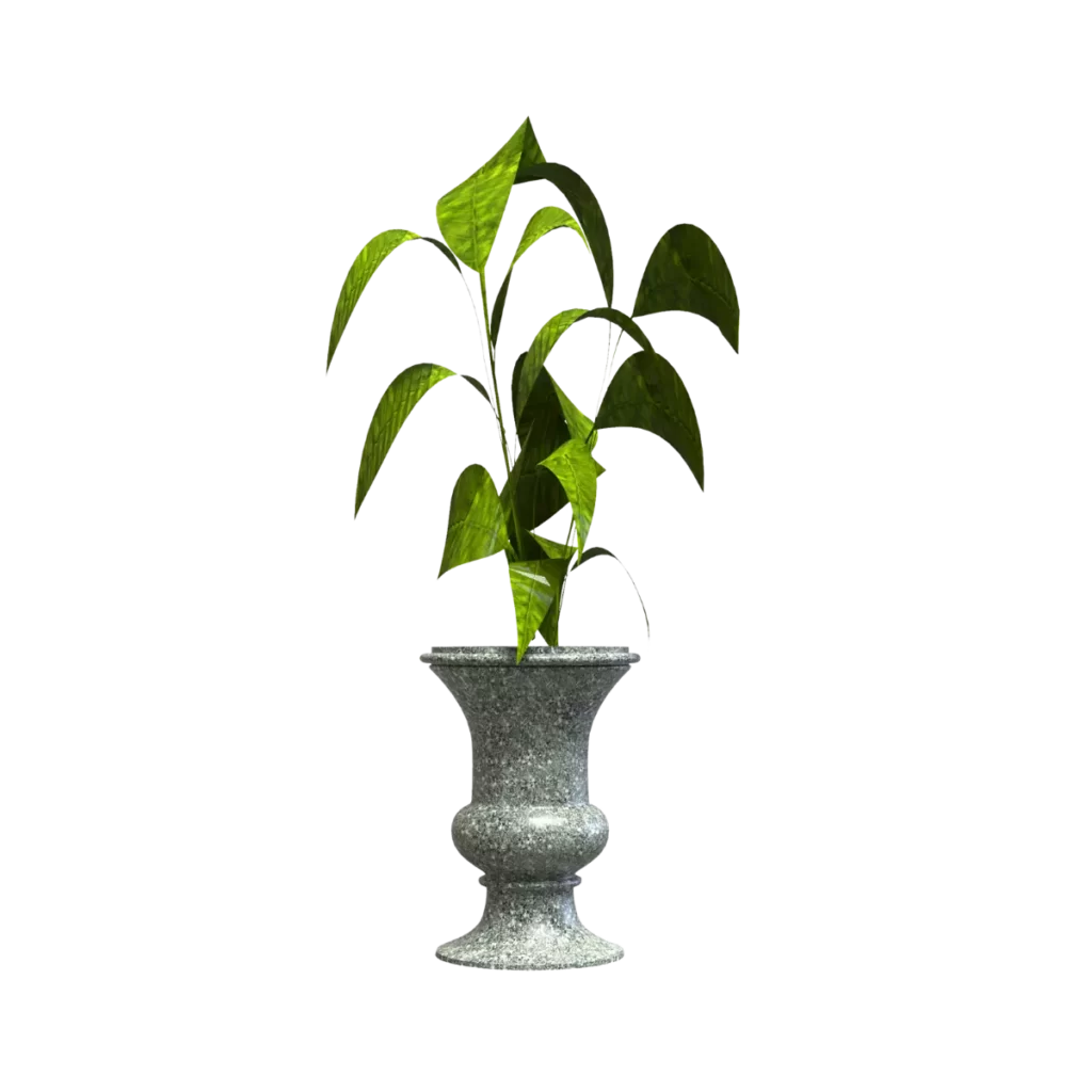 Maceta Clásica de Urna