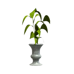 Maceta Clásica de Urna