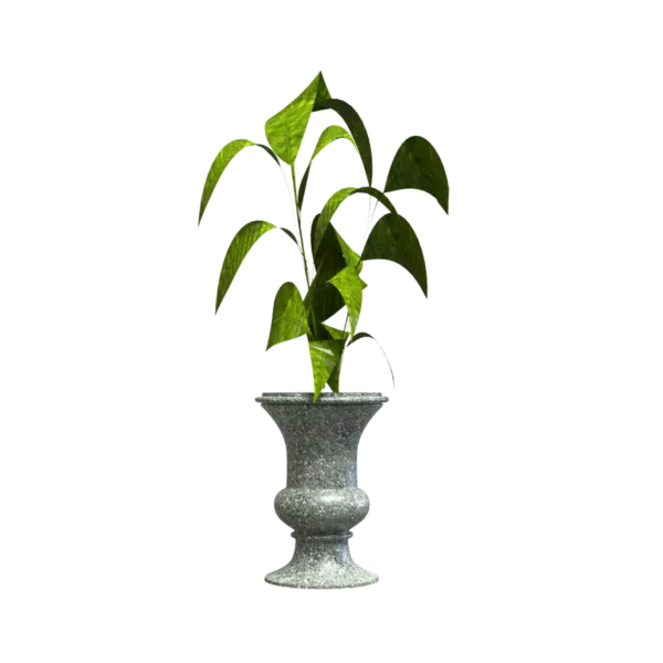 Maceta Clásica de Urna