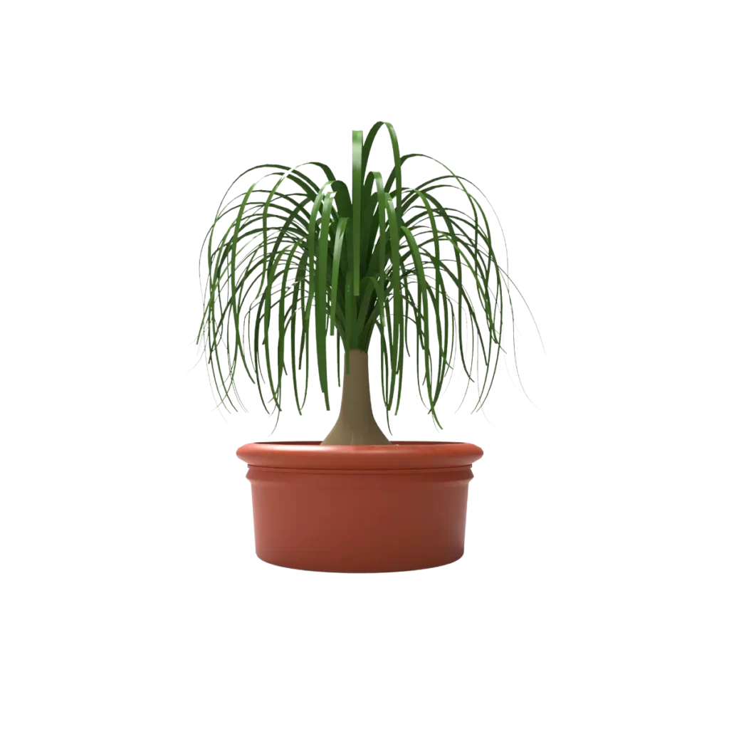 Maceta clásica plana 28