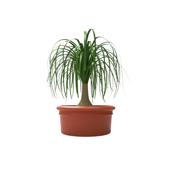 Maceta clásica plana 28