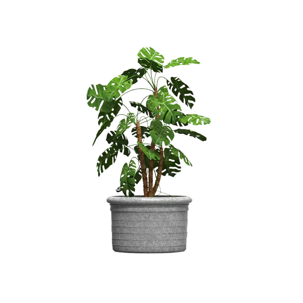 Maceta clásica plana 55