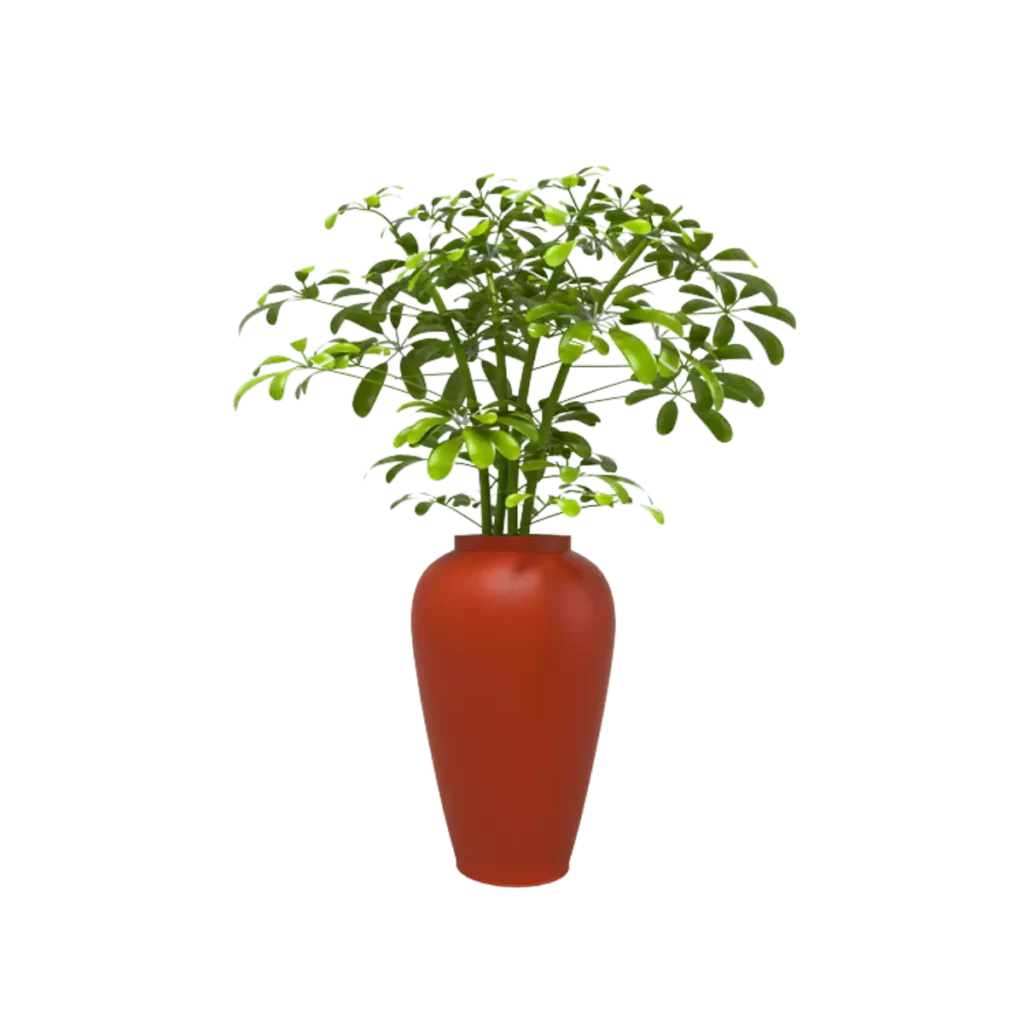 Maceta tipo jarrón TIUM-TJ76