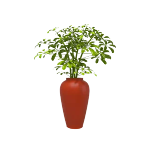 Maceta tipo jarrón TIUM-TJ76