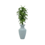 Maceta tipo jarrón TIUM-TJ91